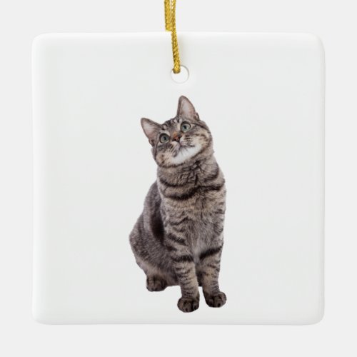 Cute Tabby Cat Ceramic Ornament