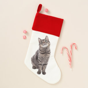 Cute Tabby Cat Christmas Stocking
