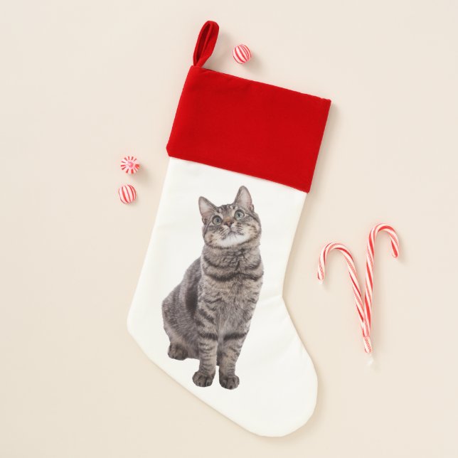 Cute Tabby Cat Christmas Stocking (Front)
