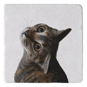 Cute Tabby Cat Close Up Photo Trivet