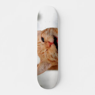 Cute tabby cat crying with one eye skateboard