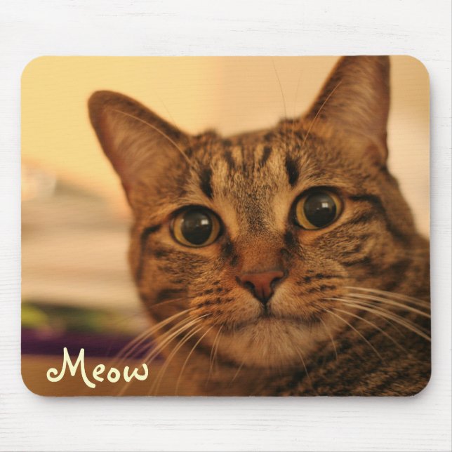 Cute tabby cat face mousepad (Front)