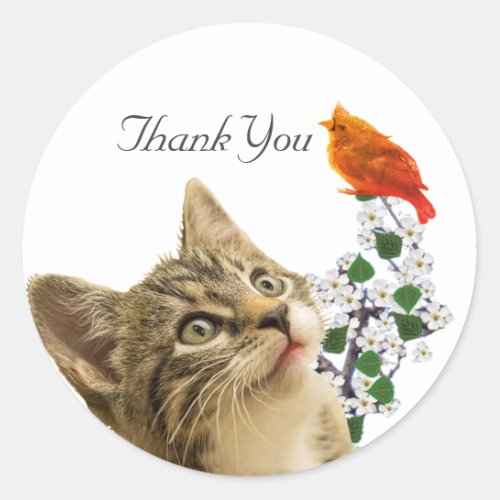 Cute Tabby Cat Flowers  Little Bird Thank You Cl Classic Round Sticker