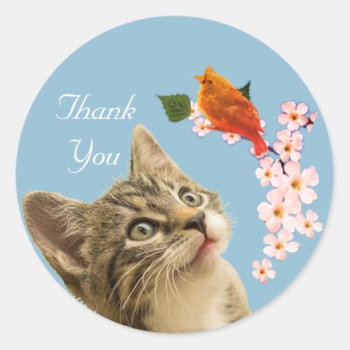 Cute Tabby Cat Flowers  Little Bird Thank You Classic Round Sticker