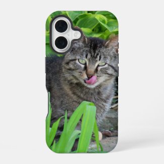 Cute Tabby Cat Kiss iPhone 16 Case