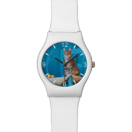 Cute Tabby Cat Kitten Blue Chair Photo dial-plate Wristwatch