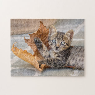 Cute Tabby Cat Kitten Playing With a Leaf - Jigsaw Puzzle