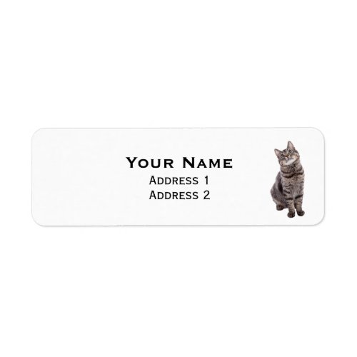 Cute Tabby Cat Label