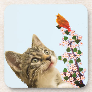 Cute Tabby Cat & Little Bird on Light Blue Beverage Coaster