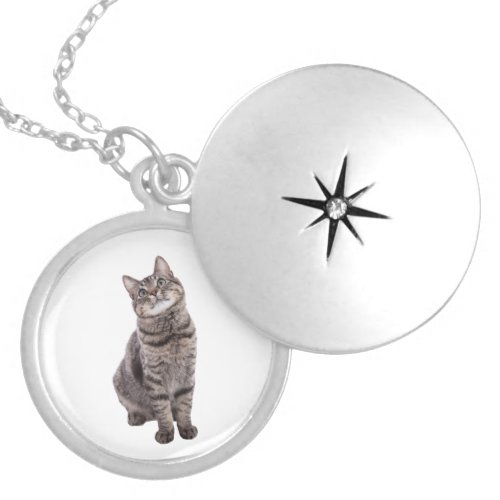 Cute Tabby Cat Locket Necklace