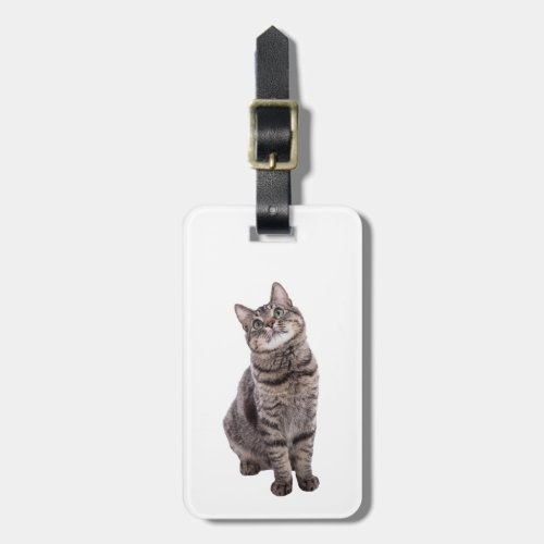 Cute Tabby Cat Luggage Tag