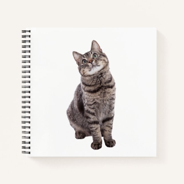Cute Tabby Cat Notebook (Front)