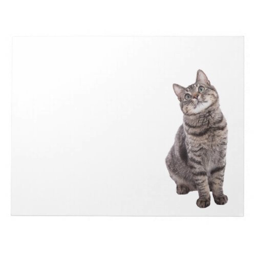 Cute Tabby Cat Notepad