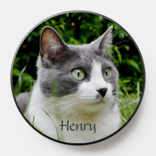 Cute Tabby Cat on the Garden PopSocket