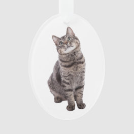 Cute Tabby Cat Ornament
