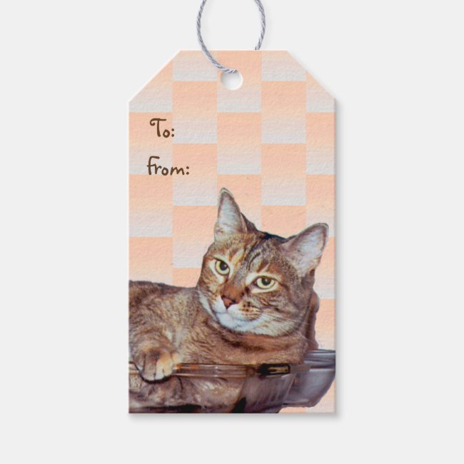 Cute Tabby Cat Pack of Gift Tags