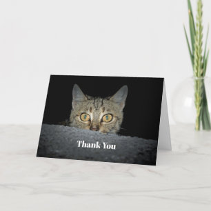 Cute Tabby Cat Peeking Photo Letterpress Thank You Card