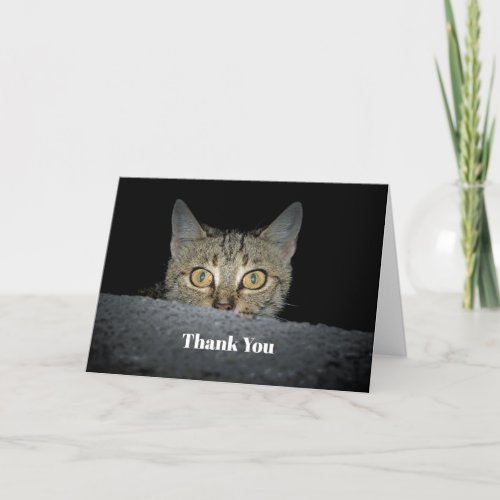 Cute Tabby Cat Peeking Photo Thank You Card