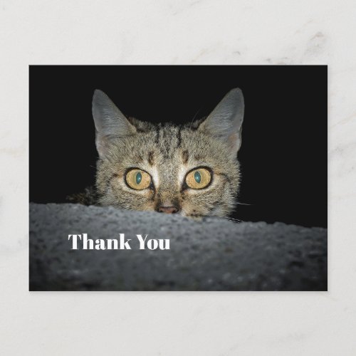 Cute Tabby Cat Peeking Photo Thank You Postcard