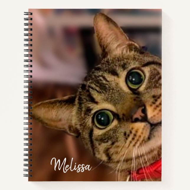 Cute Tabby Cat Personalized Notebook (Front)