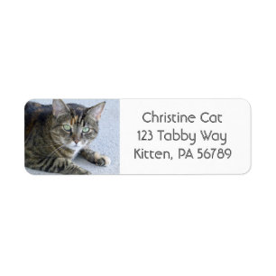 Cute Tabby Cat Photo Label