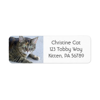 Cute Tabby Cat Photo Label