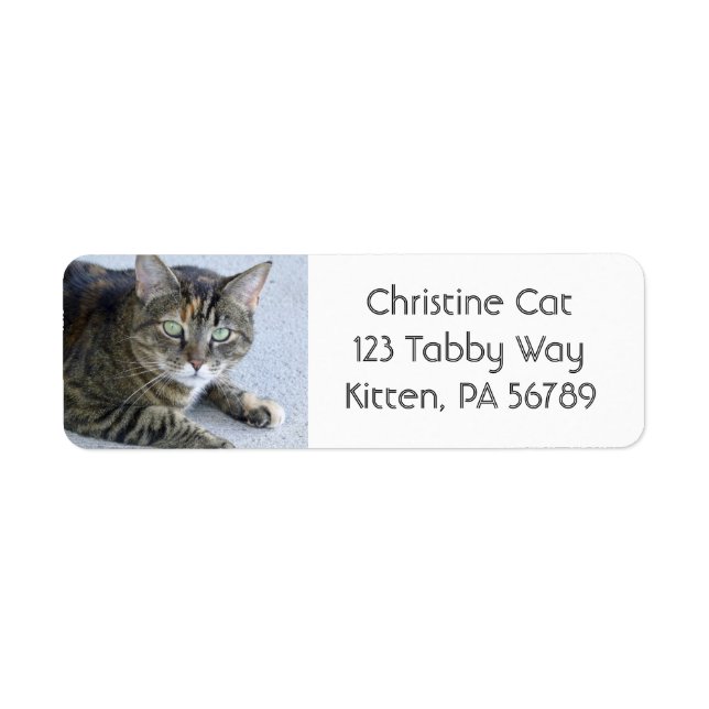 Cute Tabby Cat Photo Label (Front)