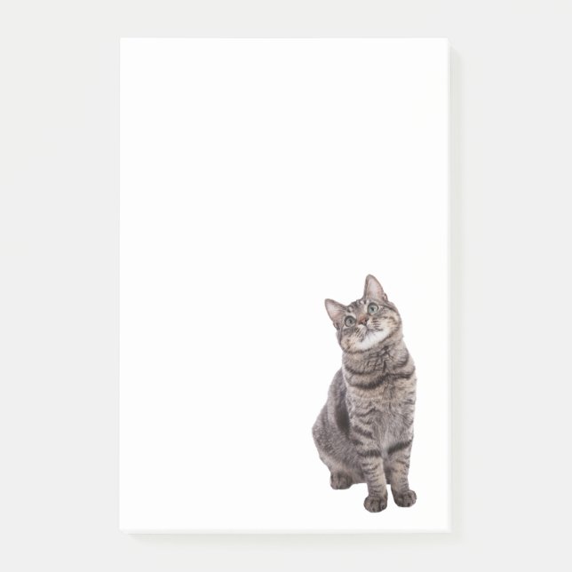 Cute Tabby Cat Post-it Notes (Front)