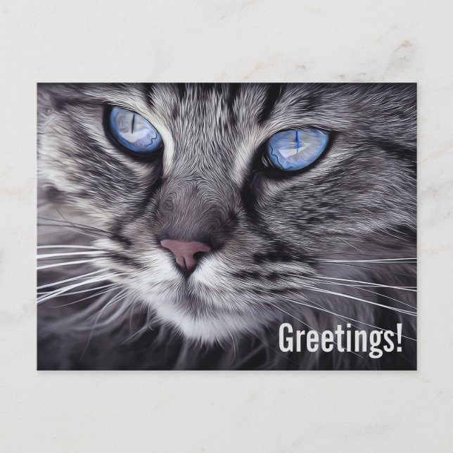 Cute Tabby Cat  Postcard (Front)