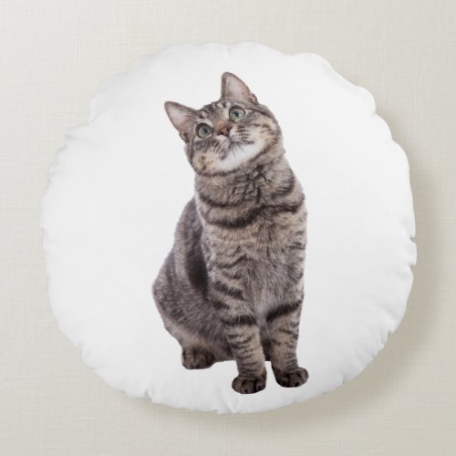 Cute Tabby Cat Round Pillow