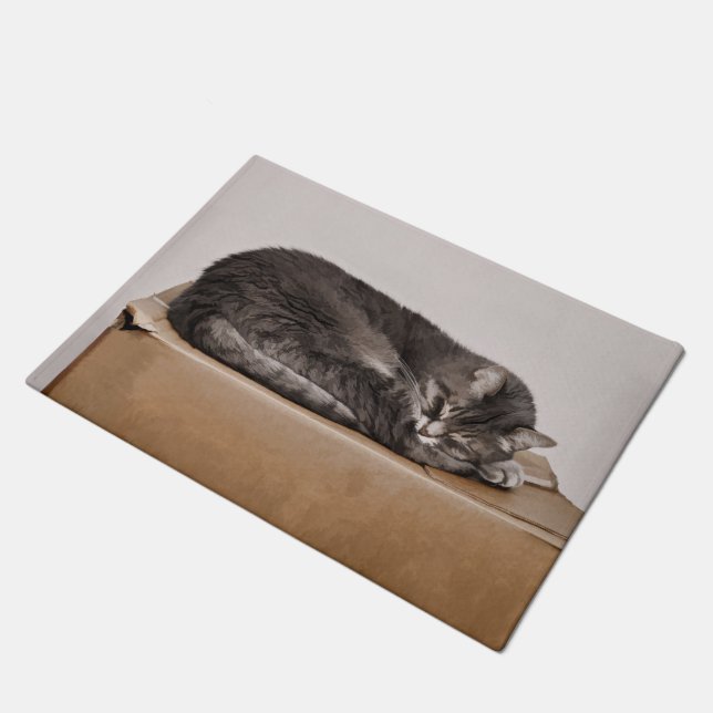 Cute Tabby Cat Sleeping On Box Doormat (Angled)