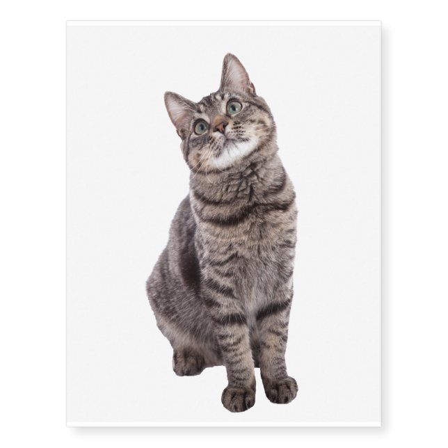 Cute Tabby Cat Temporary Tattoos (Front)