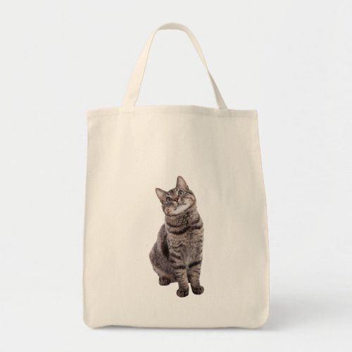 Cute Tabby Cat Tote Bag
