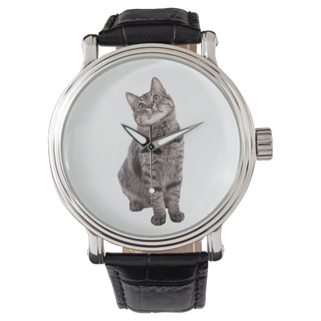Cute Tabby Cat Watch (Front)