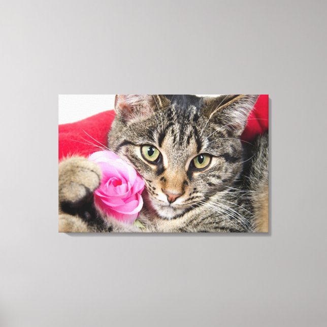 Cute Tabby Cat With Rose Canvas Print (Front)