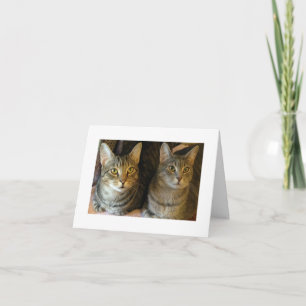Cute Tabby Cats Happy Birthday Card