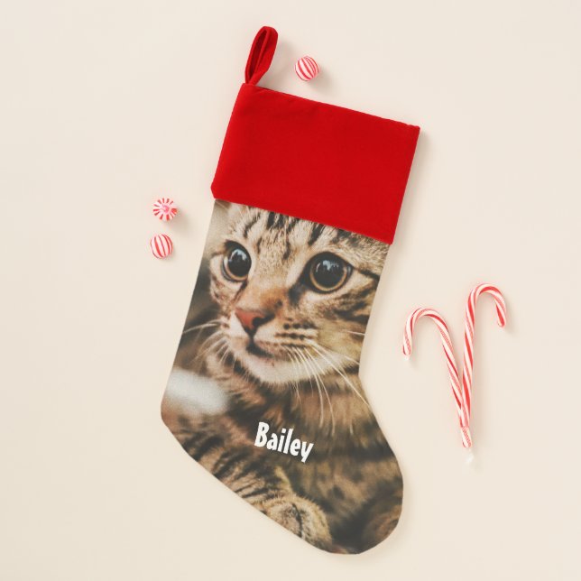 Cute Tabby (Customize It) Christmas Stocking (Front)