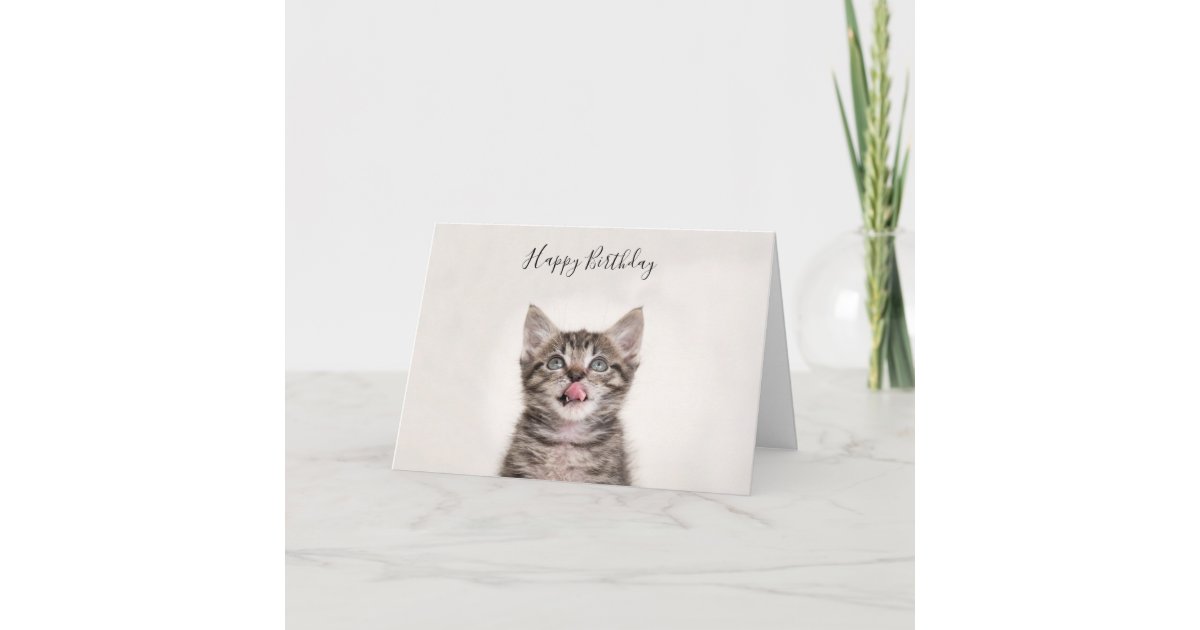 Cute tabby kitten birthday card | Zazzle