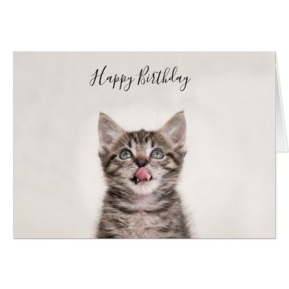 Cute tabby kitten birthday card