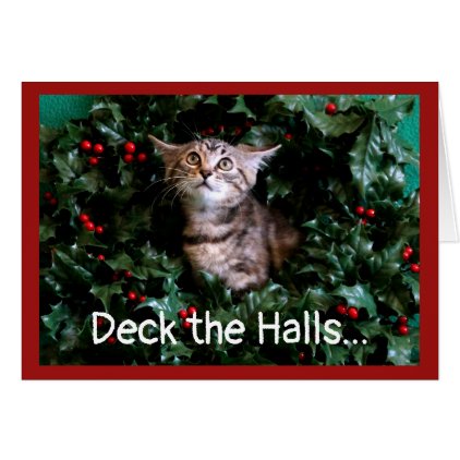 Cute Tabby Kitten in Holly Card