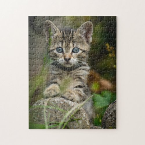 Cute Tabby Kitten in the Garden _ Cat Photo Jigsaw Puzzle