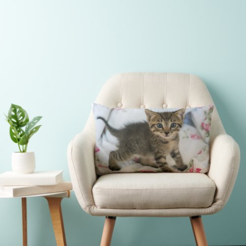 Cute Tabby Kitten Looking Surprised Lumbar Pillow