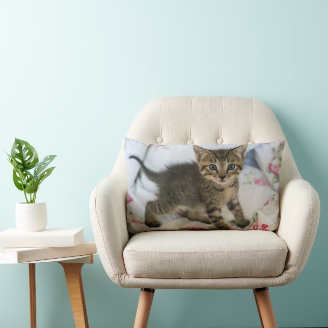 Cute Tabby Kitten Looking Surprised Lumbar Pillow (Chair)