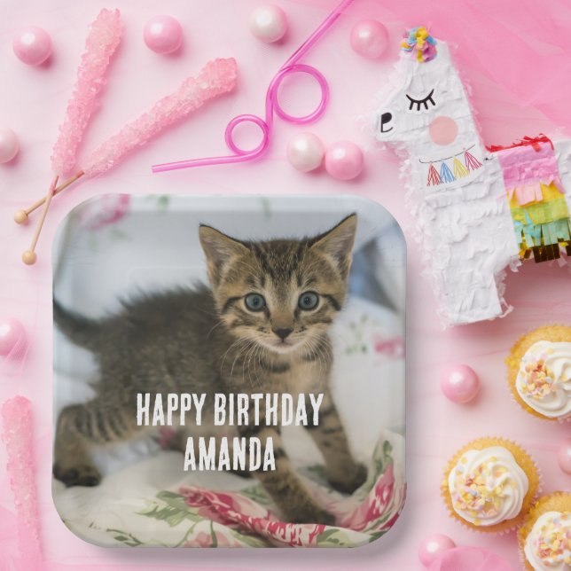 Cute Tabby Kitten Looking Surprised on Birthday Paper Plates (Party)