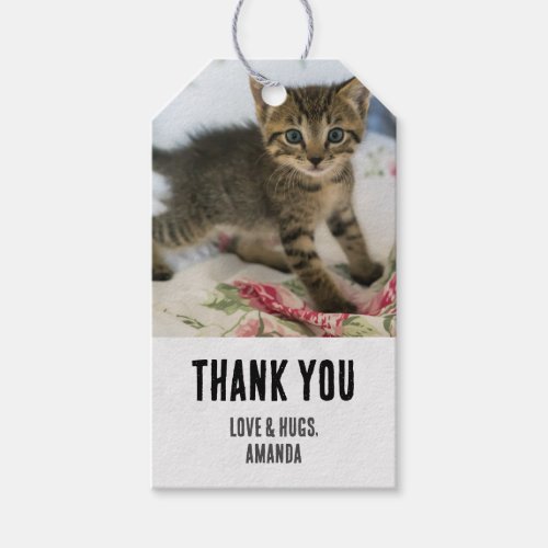 Cute Tabby Kitten Looking Surprised on Thank You Gift Tags