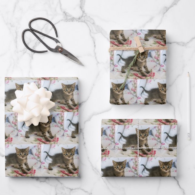 Cute Tabby Kitten Looking Surprised Patterned Wrapping Paper Sheets (Front)