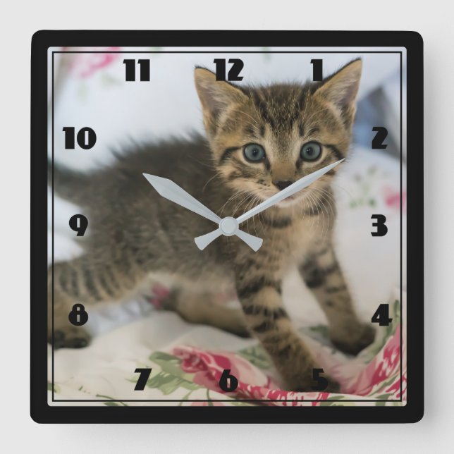 Cute Tabby Kitten Looking Surprised Square Wall Clock (Front)
