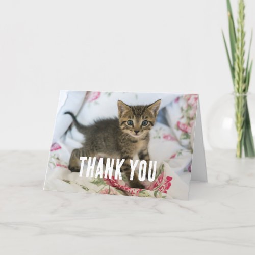 Cute Tabby Kitten Looking Surprised Thank You Card