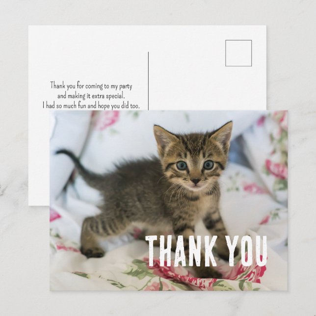 Cute Tabby Kitten Looking Surprised Thank You Postcard (Front/Back)