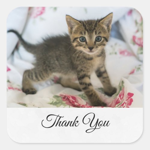 Cute Tabby Kitten Looking Surprised Thank You Square Sticker